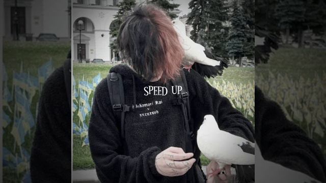 1000033928.mp4 смотреть онлайн