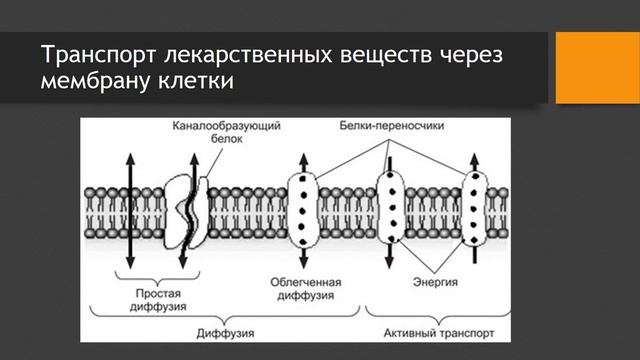 Фармакология Лекция 2