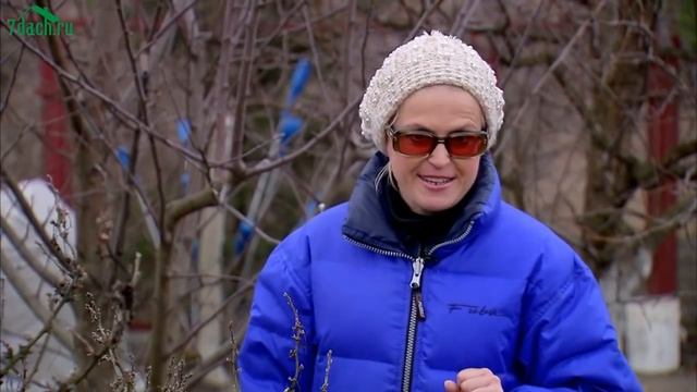 ?? Весенние работы со смородиной - 7 дач смотреть онлайн
