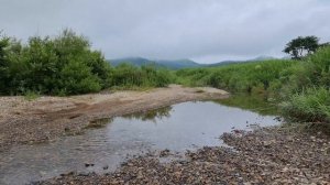 Дорога бухта Бойсмана - мыс Льва. Куда поехать отдохнуть Приморье. Красивые места Приморского края