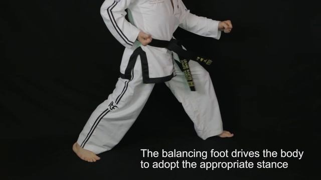 Taekwon-Do Science: Sine Wave Motion #3 смотреть онлайн