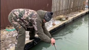 Помутнела вода в пруду!Что делать?