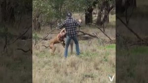 Отомстил за собаку)