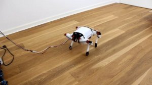 DIY Quadruped Robot - How Does It Work?