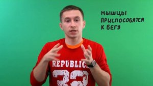 Пульс в беге - Пульсовые зоны на беговых тренировках