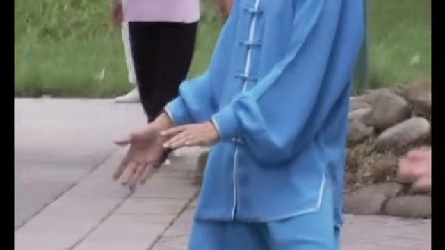 ТЕОРИЯ ЯН-ШЭН ФЕНИКС