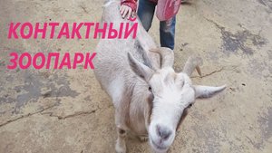 КОНТАКТНЫЙ ЗООПАРК..mp4