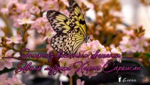 Апофеоз весеннего цветения*