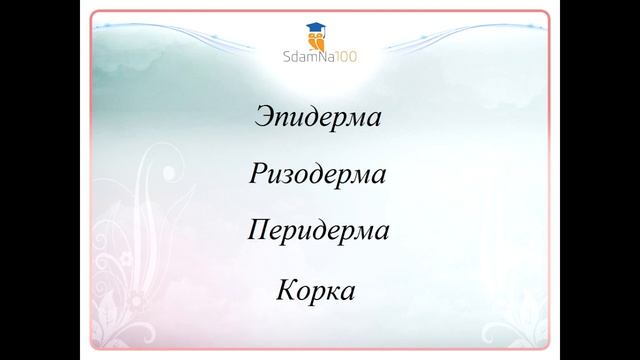 Ботаника. Клетка и ткани растений