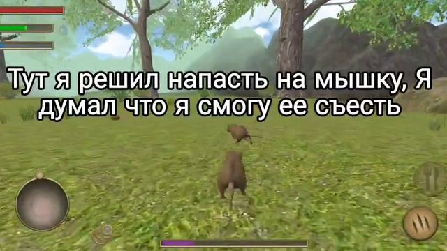 Играем в симулятор мыши, ? #да #мышь #симулятор