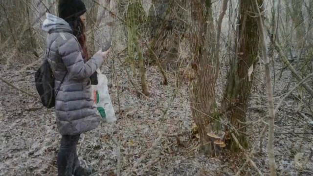 Зимние грибы - фламмулина, вешенка, аурикулярия в декабре. Как найти? смотреть онлайн