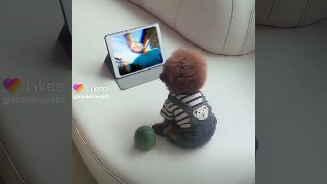 #LikeeSuperme #LikeeMorphing