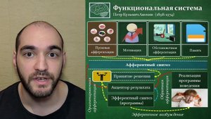 Физиология. Теория функциональных систем П.К. Анохина.