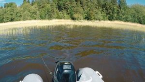 Шука в июне на большие приманки. Ловим на pig shad и угри.