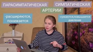 НЕРВНАЯ СИСТЕМА ЧЕЛОВЕКА ЗА 5 МИНУТ||СОМАТИЧЕСКАЯ/ВЕГЕТАТИВНАЯ/СИМПАТИЧЕСКАЯ/ПАРАСИМПАТИЧЕСКАЯ