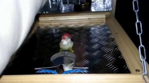 Мини бар своими руками