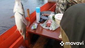 Река колва, Отпуск.