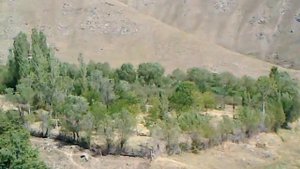 Сайрон Мухаммад