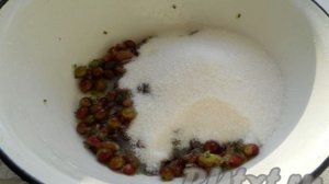 Джем из крыжовника на зиму