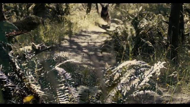 Симон Хорольский – Hallelujah (христианская песня) смотреть онлайн