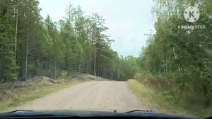 Нижнеудинский район. Поездка в сторону деревни Яга. Тайга.