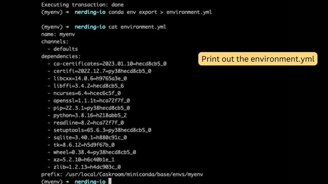 Python: Tips and Tricks - Conda Environments