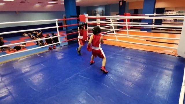 Радамир - Лавр - Раф 7лет бокс дети спарринг смотреть онлайн