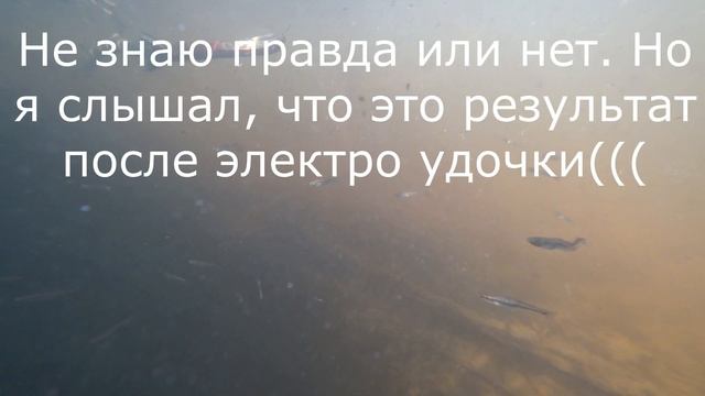 Открыл летний сезон рыбалки 2022г. смотреть онлайн