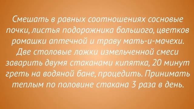 Лечение кашля у беременных с помощью травяных отваров.
