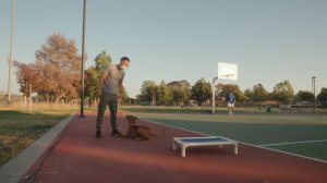 Doberman Pitbull Goes to the Dog Park