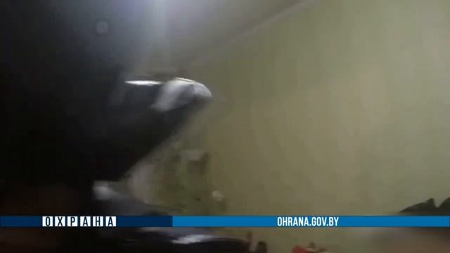 Сотрудники Департамента охраны уберегли от необдуманного поступка смотреть онлайн