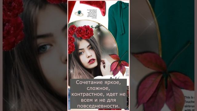 Сочетание цветов. Холодный зеленый и теплый красный