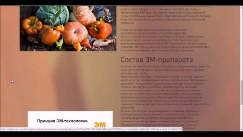 Биореактор эм био лайв