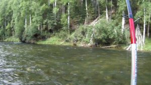 Ойский уикенд. Рыбалка на хариуса и ленка.