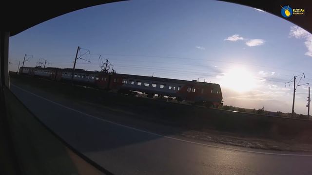 Наша страна самая красивая! Не будем о политике смотреть онлайн