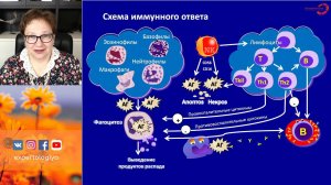 Экспертология | Склерозирующий лихен вульвы Пустотина О.А.