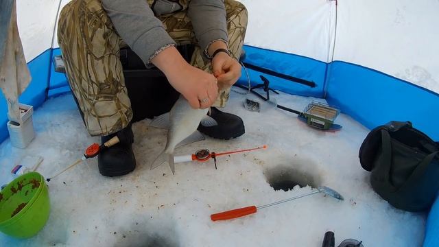 ЗИМНИЙ ЛЕЩ! Ловля леща на длинный поводок. Скользящая оснастка для ловли леща — #OmskFish смотреть онлайн