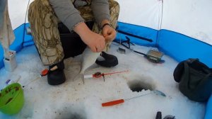 ЗИМНИЙ ЛЕЩ! Ловля леща на длинный поводок. Скользящая оснастка для ловли леща — #OmskFish