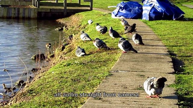 Camera Test Canon Ixus 275 HS смотреть онлайн