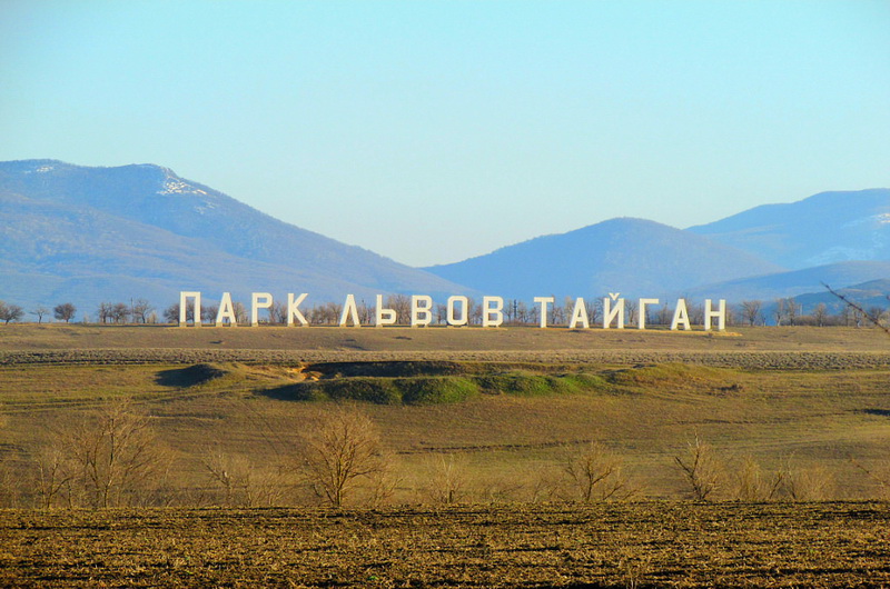 В парке львов "Тайган"