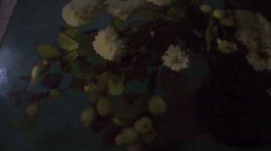 Куплеты Рошфора и Миледи(Кардинал был влюблен, в госпожу Д'(х/ф "Д’Артаньян и три мушкетёра"наброск