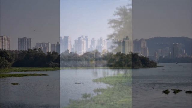 Nikon D7200 with nikkor 50mm f/1.8g samples #1 смотреть онлайн