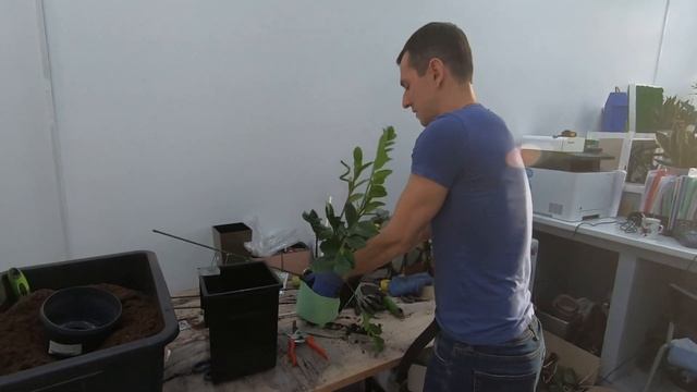 LECHUZA- Мерседес среди Кашпо смотреть онлайн