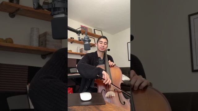 Run pony run pony (A and D strings ) Cello
