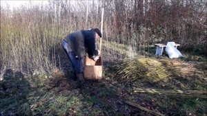 Резка и сортировка Лозинки