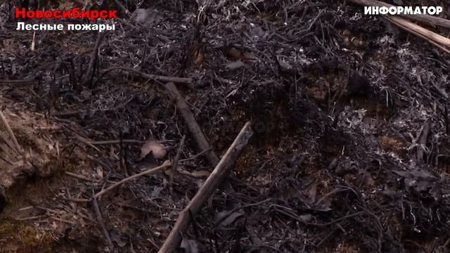 Катаклизмы-Сегодня 22.04.2024 - ЧП, Катаклизмы,- Москва-Ураган-США Торнадо