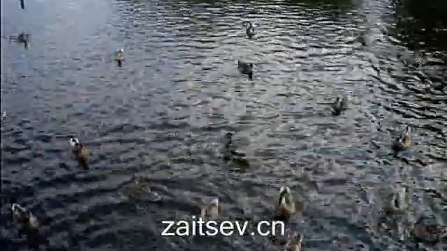 Экология России смотреть онлайн