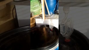 11 Брожение зерновой браги на кодзях спустя пол часа  Нюансы про пену