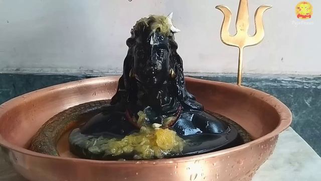 Shiv abhishek vidhi | Rudra abhishek of lord shiva shivratri puja | at home easy and simple