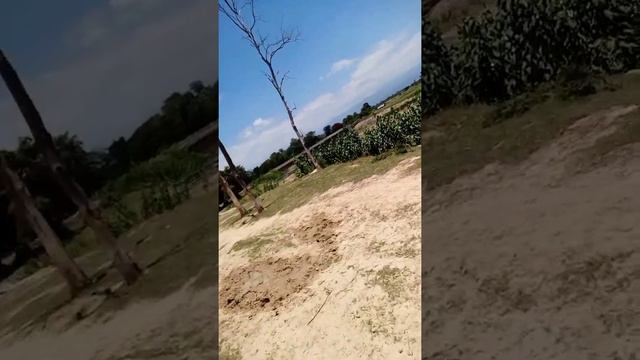 😁😁....wall jw vatkayera laidexa bricks huru toilet ko safety tankey banauna loi🤣🤣🤣🤣 смотреть онлайн